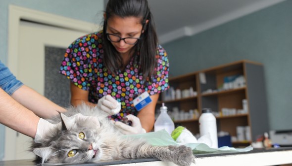 Offres d'emploi et d'installation