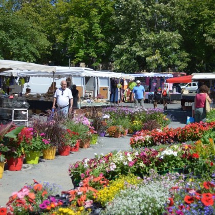 Marché Marché